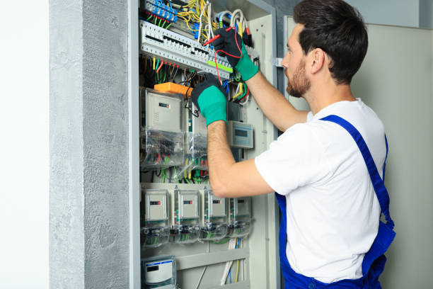 Best Electrical System Inspection  in Mesilla, NM